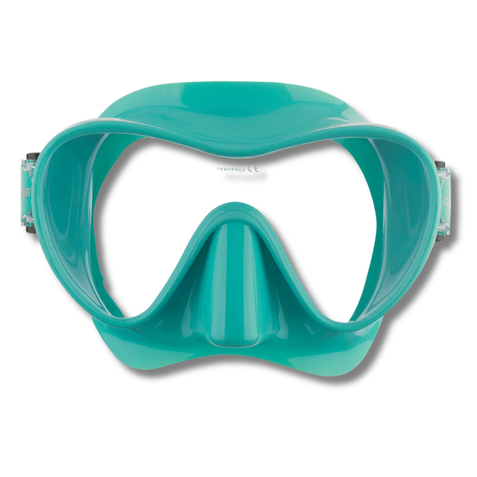 F1 Mask