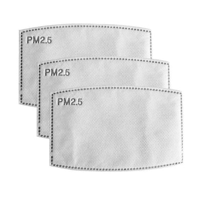PM 2.5 Mask Filters (10 Pack)