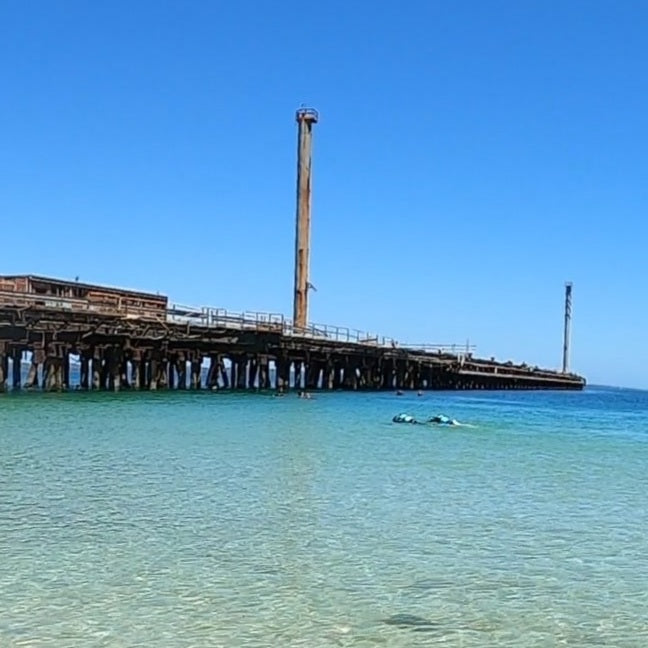 Bulk Jetty club dive