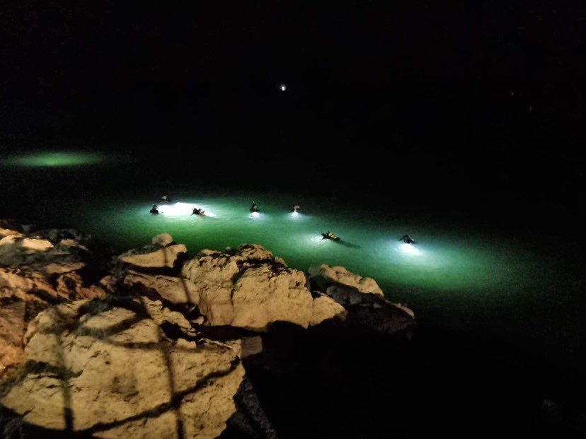 Hillarys club night dive