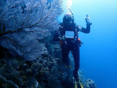 Reaching a diving milestone