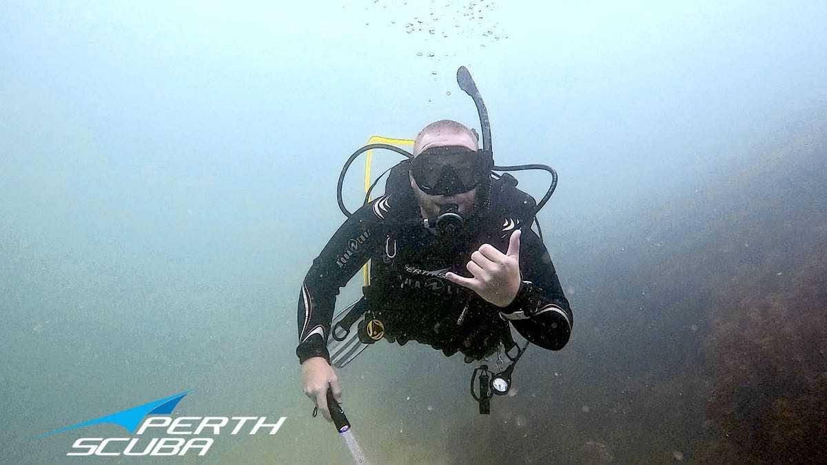 Sunday Club Dive at Woodman Point