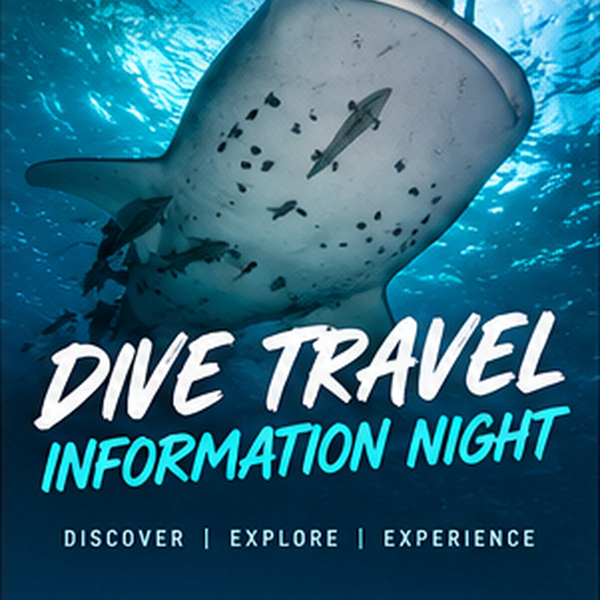 Your Next Dive Adventure Starts Here: Perth Scuba’s Dive Travel Information Night
