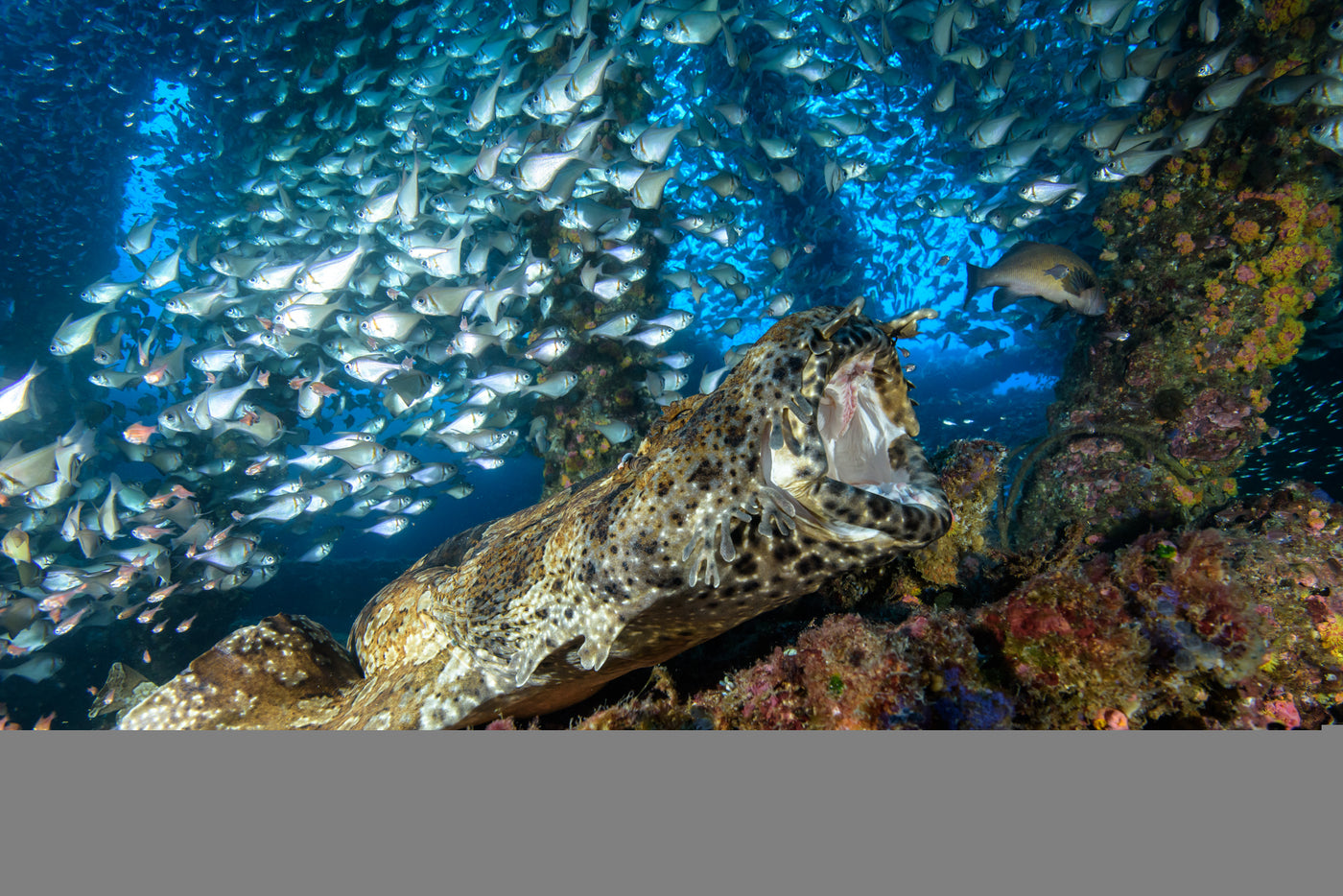 Key Biscayne 2020 by Joey Pool