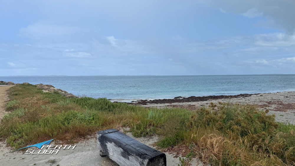 Sunday Club Dive at Woodman Point