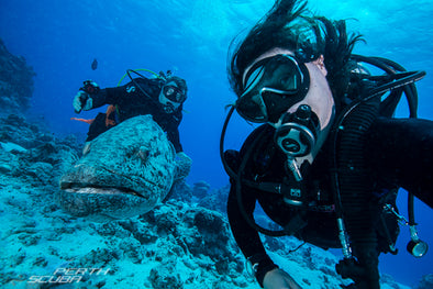 Jumping Back into Scuba: Your Guide to Diving In After a Break