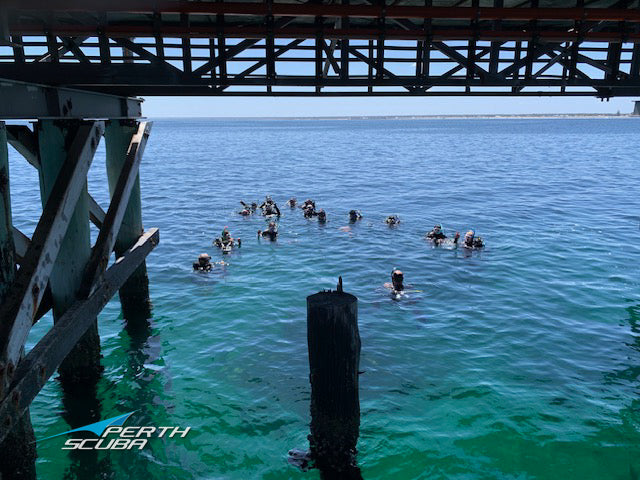 Newbies descend on Busselton Jetty Manta Club Dive