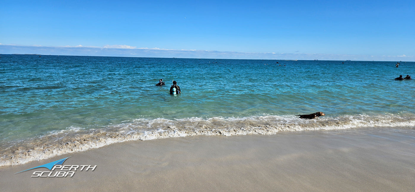 Manta Club Dive | Robb Jetty - Sunday 23 August 2026