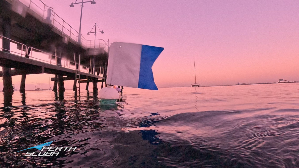 Manta Club Night Dive at Palm Beach Jetty | Wednesday 12 August 2026