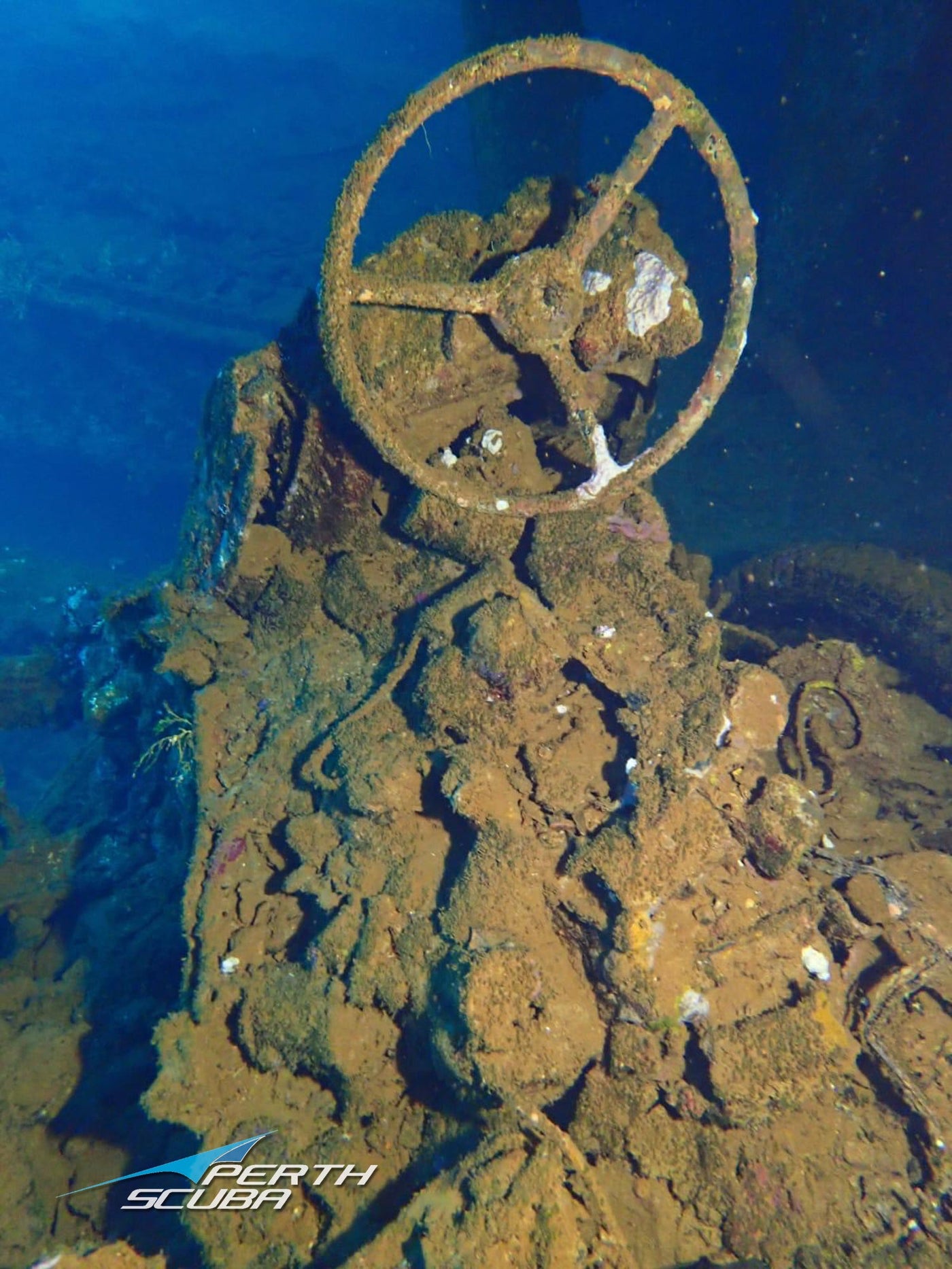 Truk Lagoon Day 3: Exploring the Momokawa Maru & Sankisan Maru