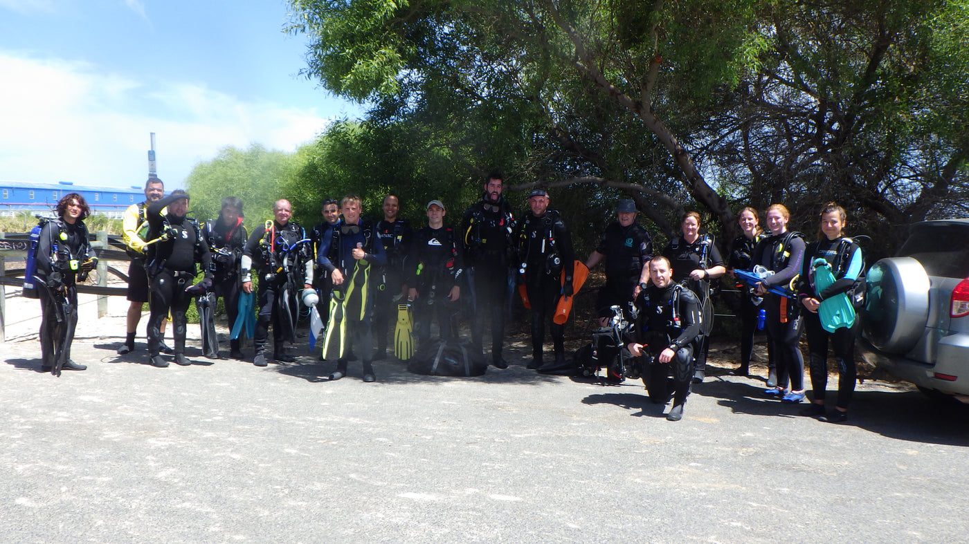 Kwinana Grain Terminal club dive