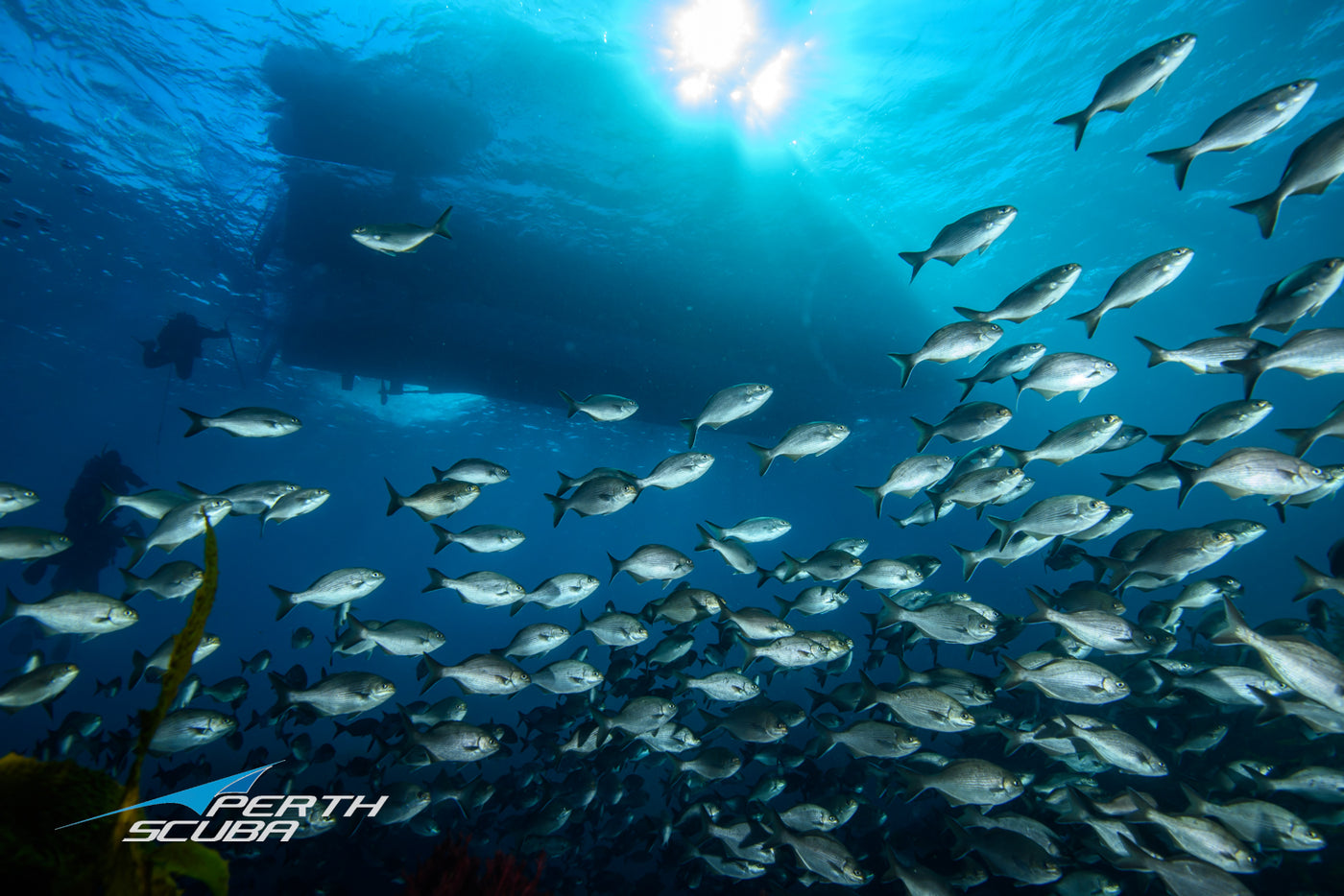 Delving into Serenity: The Mental Health Benefits of Scuba Diving