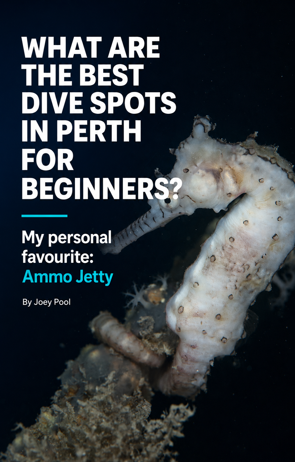 What are the best dive spots in Perth for beginners?
