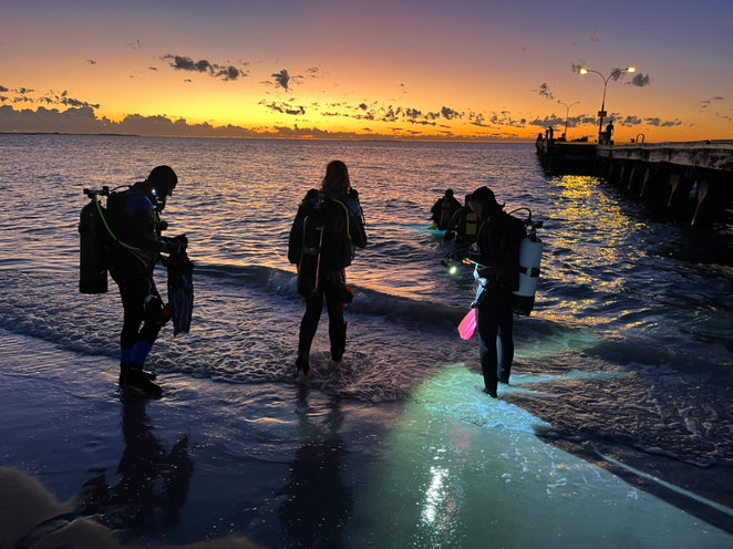 Ammunition Jetty Club Night Dive