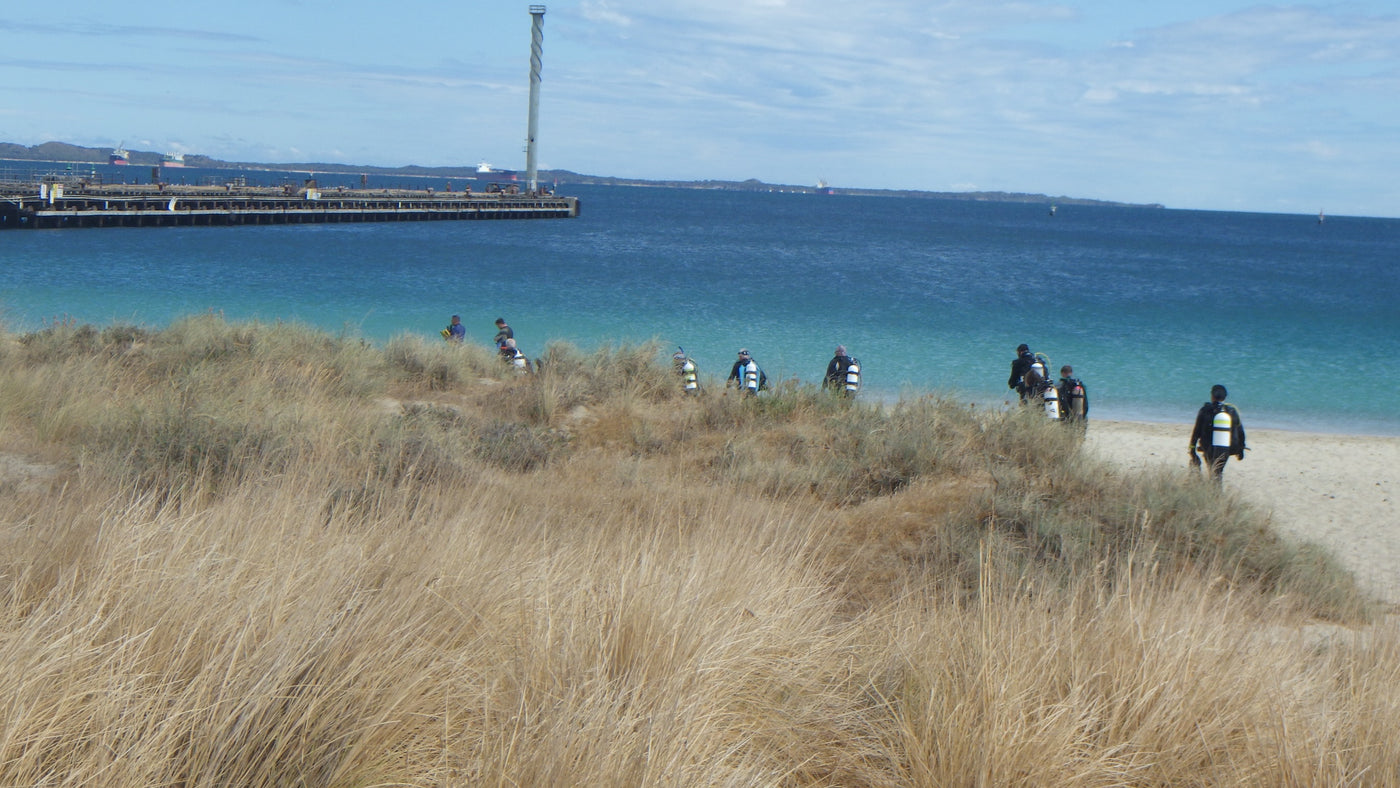 Bulk Jetty club dive