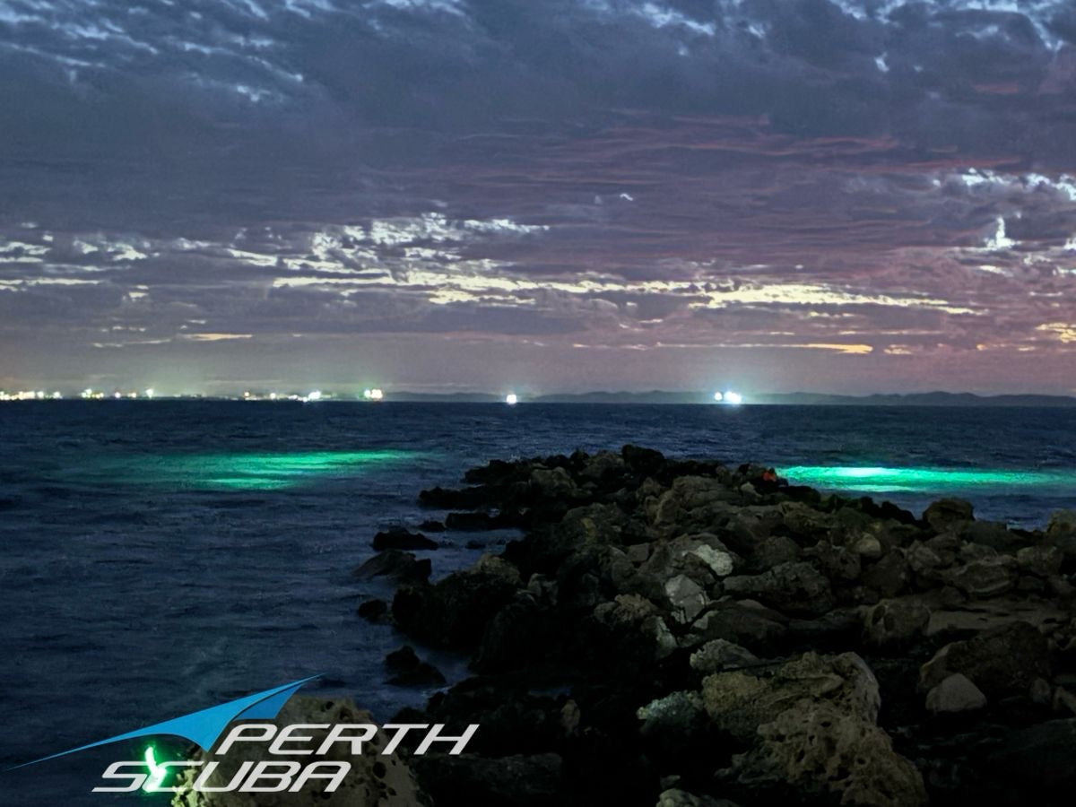 Woodman Point Manta Club Night Dive