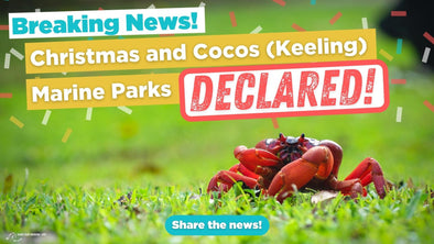 Breaking News! Christmas and Cocos Keeling Marine Parks