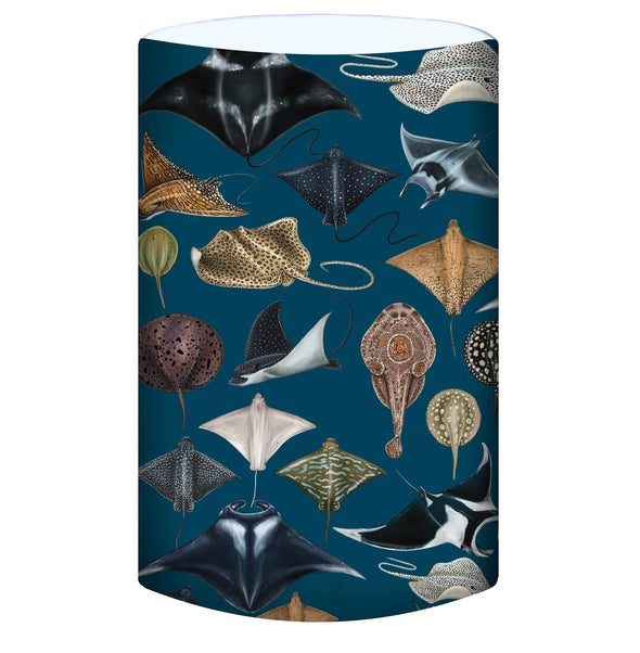 Neck Buff Gaiter