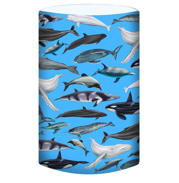 Neck Buff Gaiter