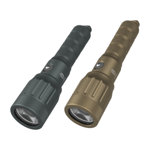 Focus 3000 Dive Light