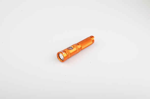 NR-1000 Dive Light