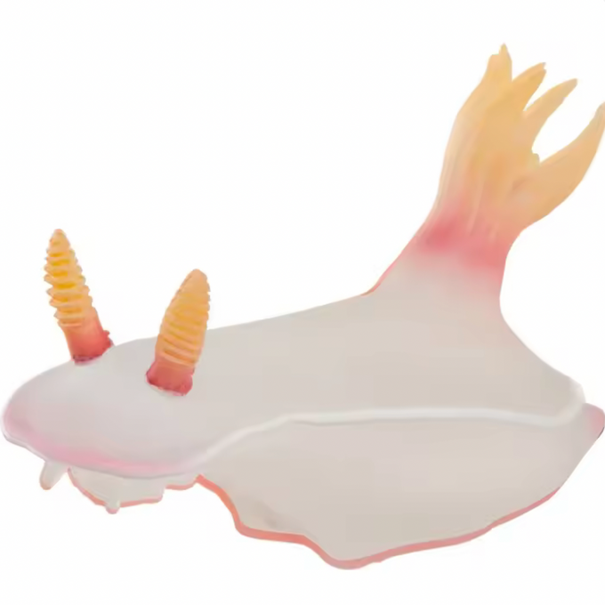 Nudibranch Fridge Magnet
