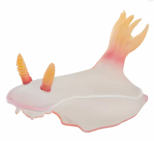 Nudibranch Fridge Magnet