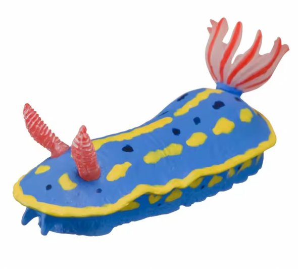 Nudibranch Fridge Magnet