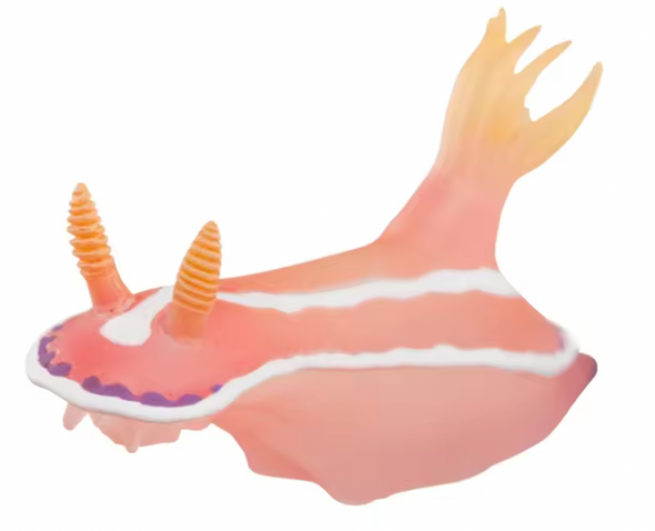 Nudibranch Fridge Magnet
