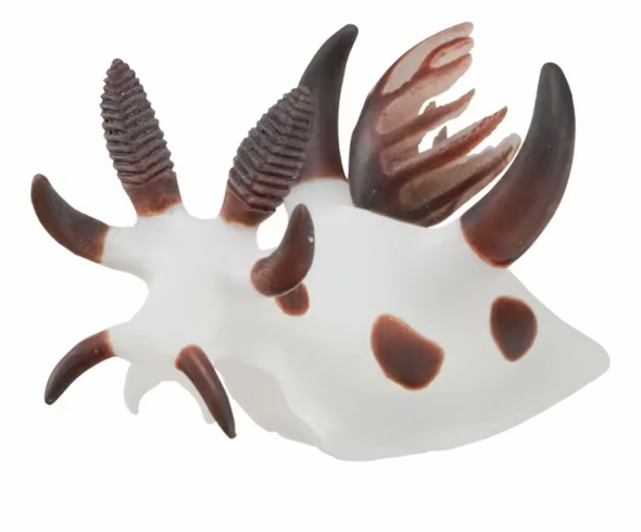 Nudibranch Fridge Magnet