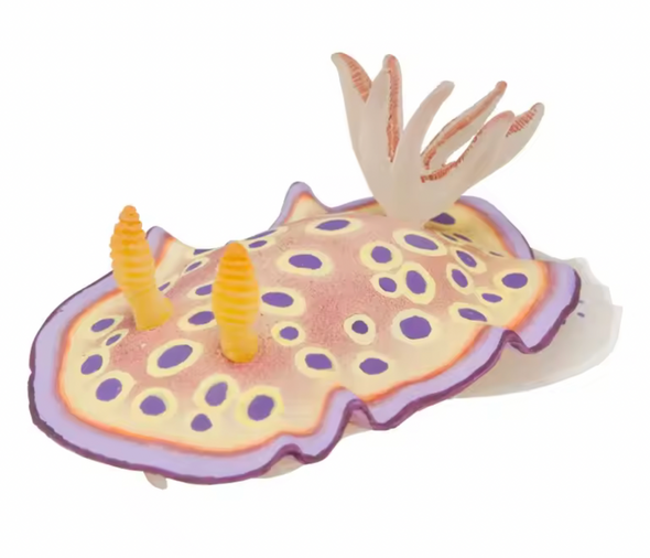 Nudibranch Fridge Magnet