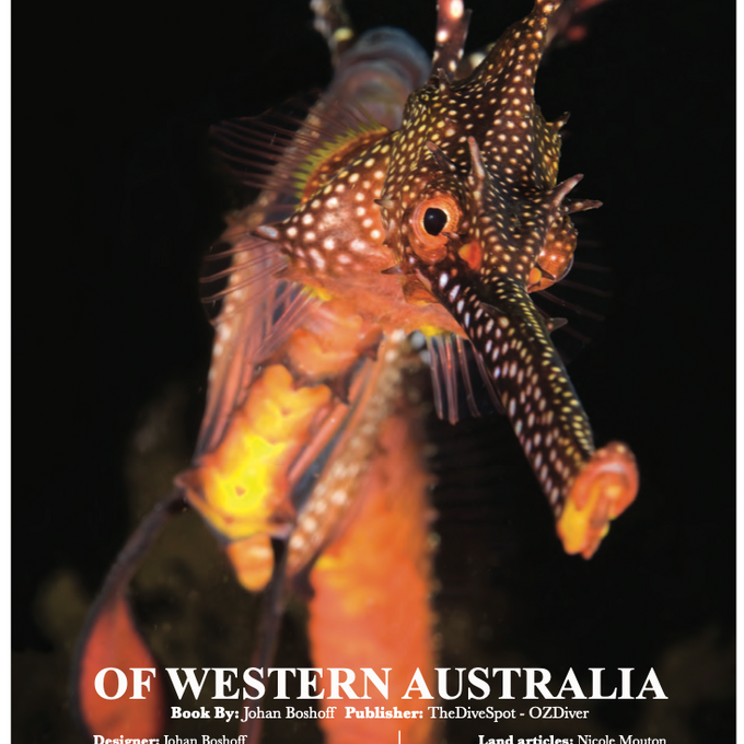 The Dive Spots of Western Australia