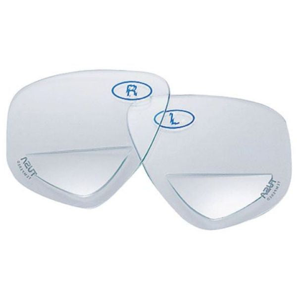 Corrective Bifocal Lenses