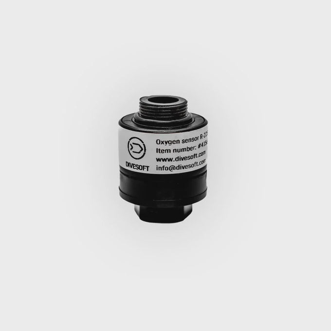 R22s Oxygen Sensor