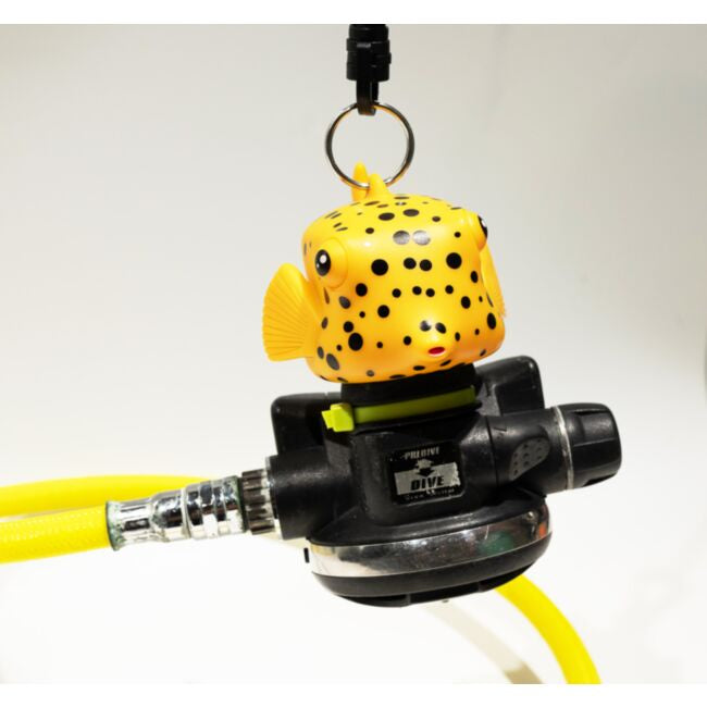 Boxfish octopus holder