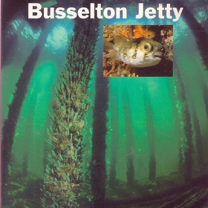 Beneath Busselton Jetty