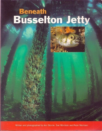 Beneath Busselton Jetty