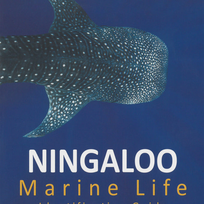 Ningaloo Marine Life Identification Guide