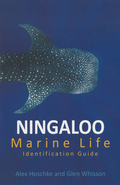 Ningaloo Marine Life Identification Guide