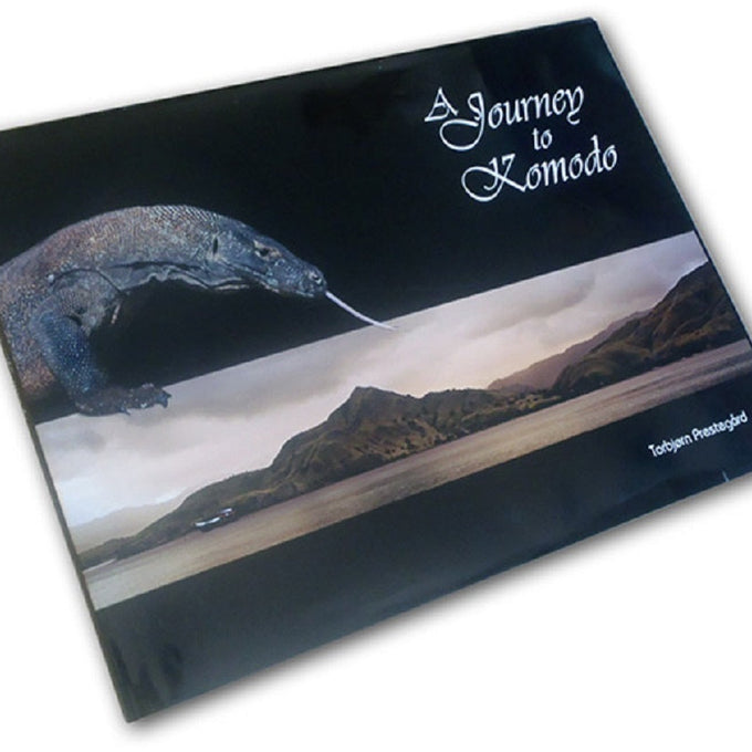 Crabs and Crustaceans