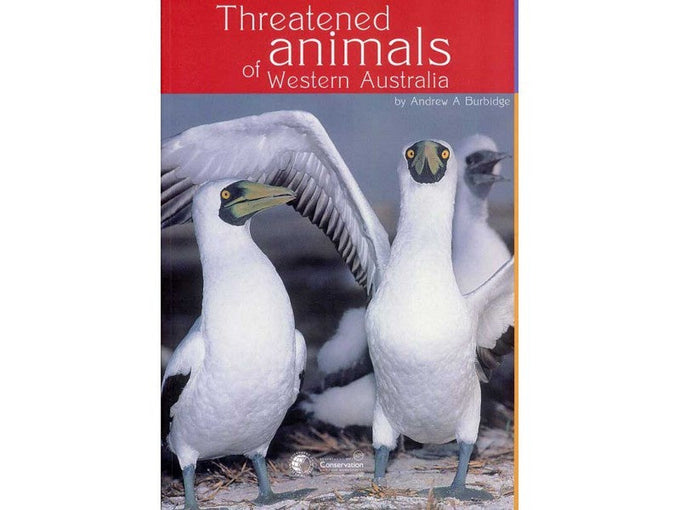 Whales & Dolphins Of WA