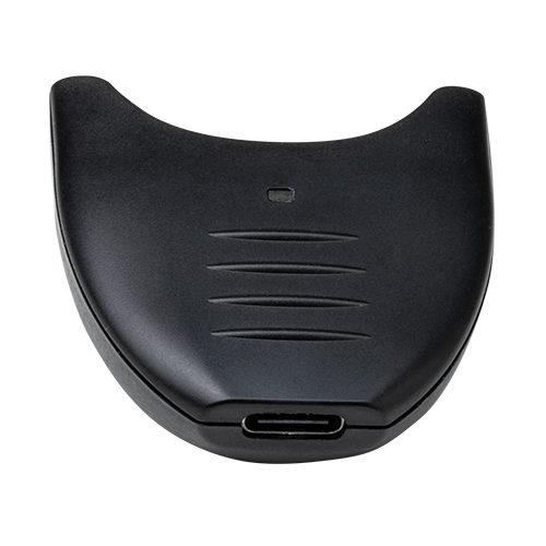 USB-C 2L Charge Dongle