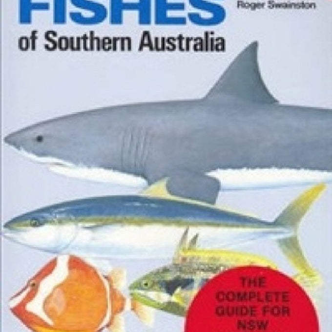 Coral Wonderland: The Best Dive Sites of the Great Barrier Reef and Coral Sea