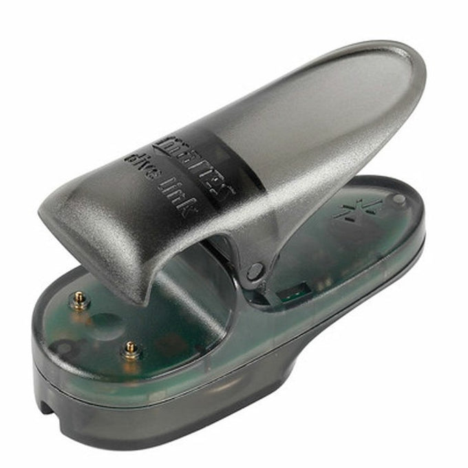 Bluelink Pro Interface