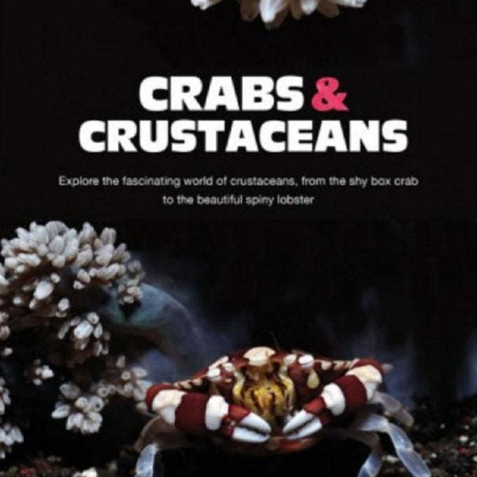 Discovering Caves Of WA