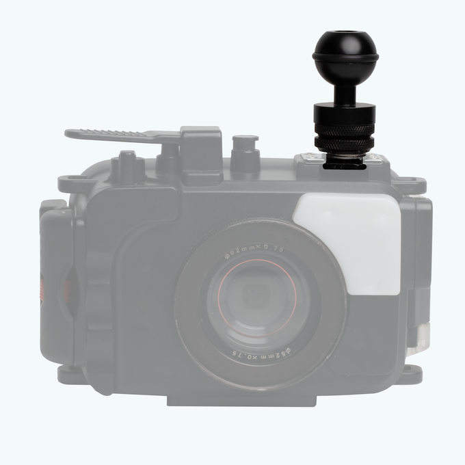 Cold Shoe Ball Mount