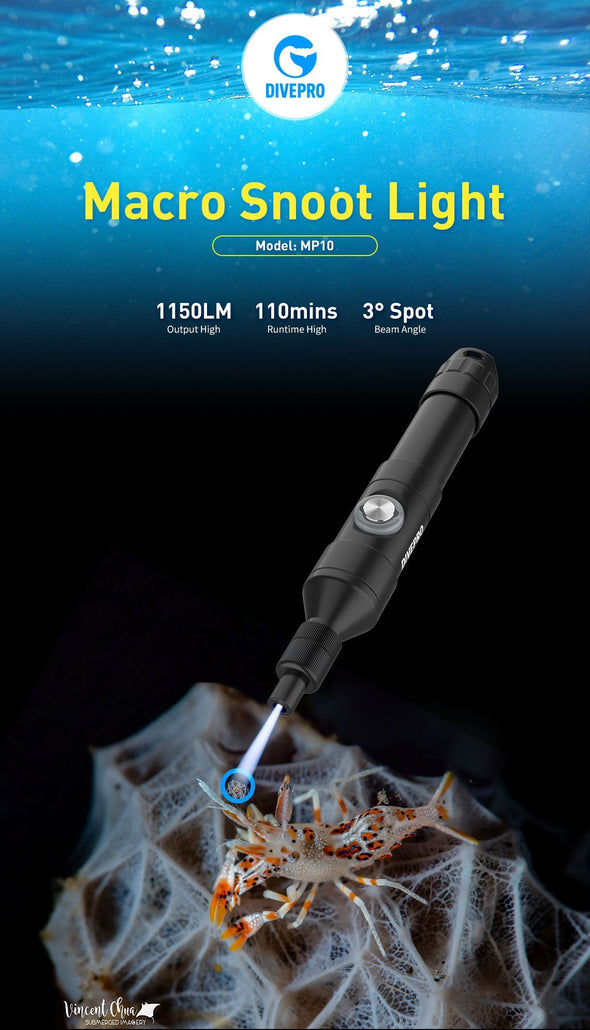 DivePro MP10 Snoot Photography Light