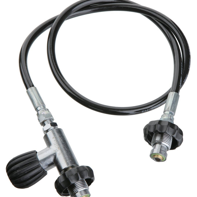 Din to Din Decant Whip