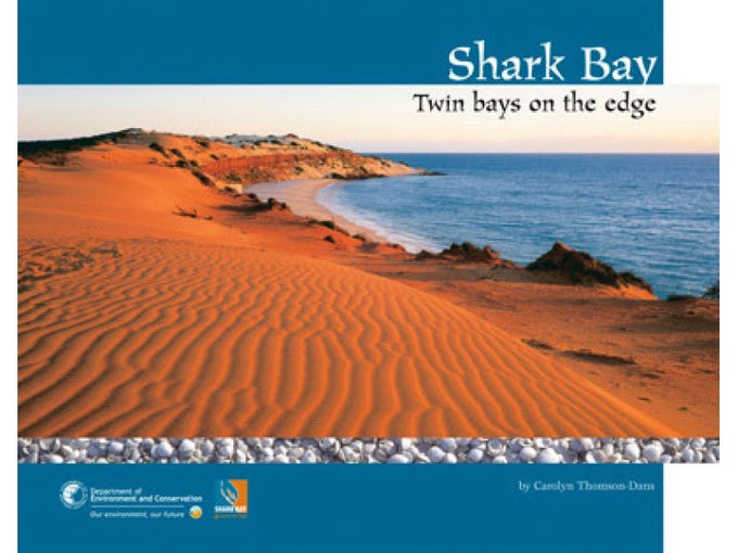 The Diving Photographer